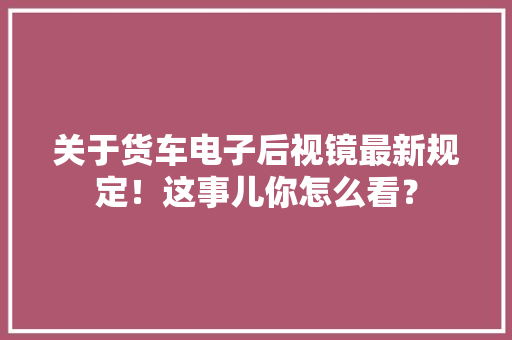 关于货车电子后视镜最新规定！这事儿你怎么看？
