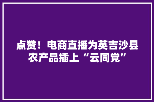 点赞！电商直播为英吉沙县农产品插上“云同党”,电商设计培训机构推荐。