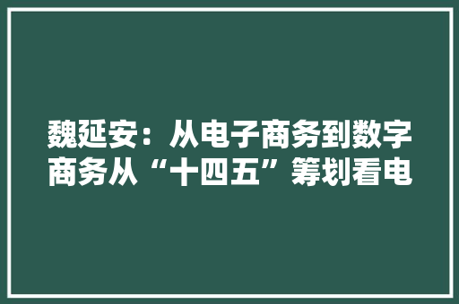 魏延安：从电子商务到数字商务从“十四五”筹划看电子商务新成长
