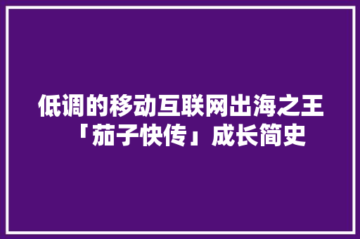 低调的移动互联网出海之王「茄子快传」成长简史