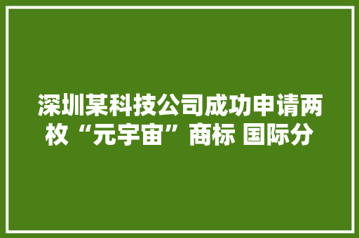 深圳某科技公司成功申请两枚“元宇宙”商标 国际分类为金融物管和运输贮藏