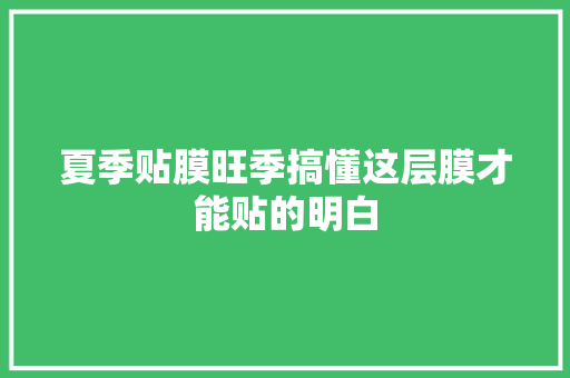 夏季贴膜旺季搞懂这层膜才能贴的明白