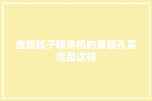 金楚腻子喷涂机的真面孔竟然是这样