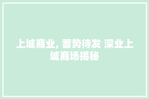 上城商业, 蓄势待发 深业上城商场揭秘