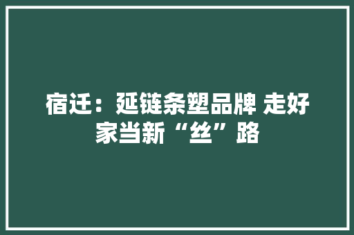 宿迁：延链条塑品牌 走好家当新“丝”路,家当是什么意思。