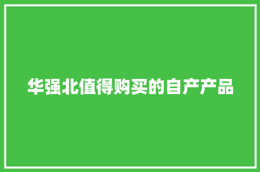 华强北值得购买的自产产品
