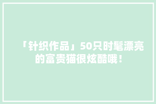 「针织作品」50只时髦漂亮的富贵猫很炫酷哦！