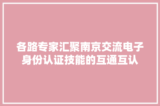 各路专家汇聚南京交流电子身份认证技能的互通互认