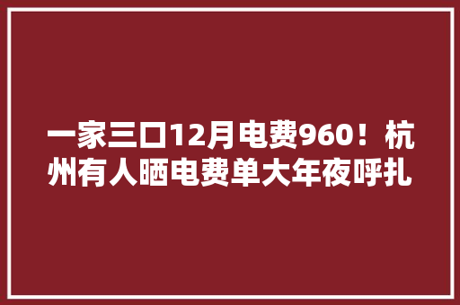 一家三口12月电费960！杭州有人晒电费单大年夜呼扎心亏得新年电费重回一档计价