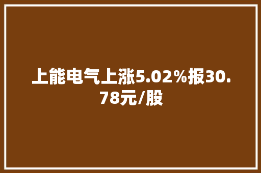 上能电气上涨5.02%报30.78元/股