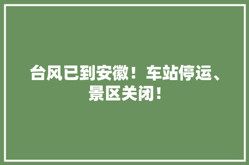 台风已到安徽！车站停运、景区关闭！
