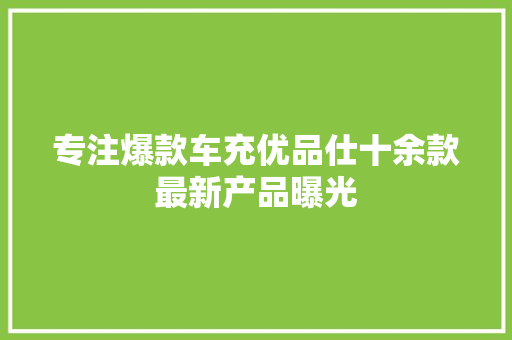 专注爆款车充优品仕十余款最新产品曝光