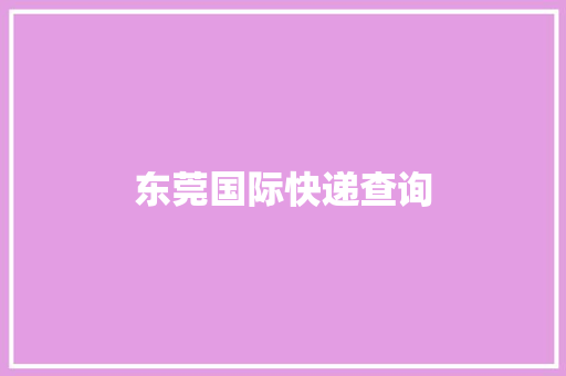 东莞国际快递查询
