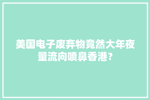 美国电子废弃物竟然大年夜量流向喷鼻香港？,废弃物处置记录表范本。