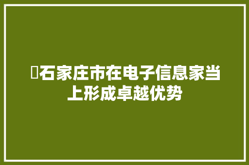 ​石家庄市在电子信息家当上形成卓越优势