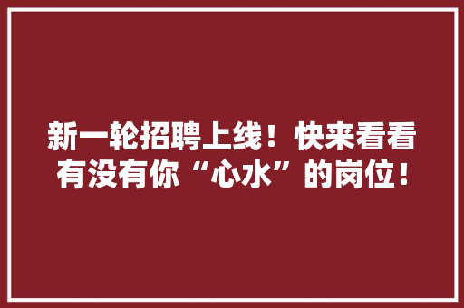 新一轮招聘上线！快来看看有没有你“心水”的岗位！,哀求的意思。