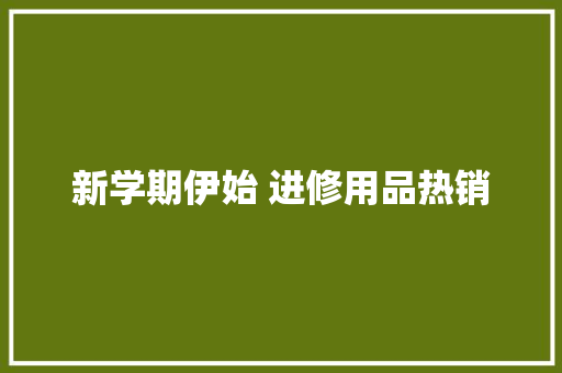 新学期伊始 进修用品热销