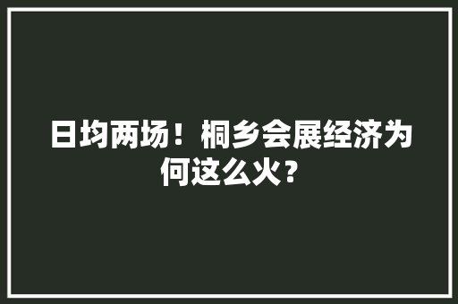 日均两场！桐乡会展经济为何这么火？