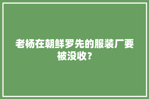 老杨在朝鲜罗先的服装厂要被没收？