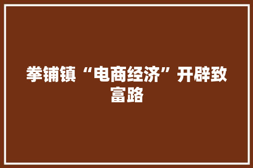 拳铺镇“电商经济”开辟致富路,安吉杭该镇。