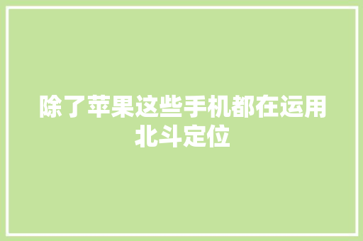 除了苹果这些手机都在运用北斗定位