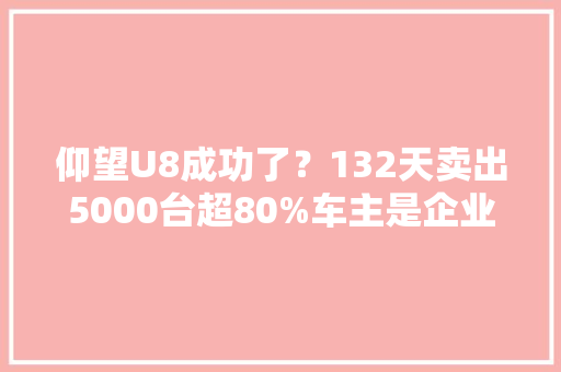 仰望U8成功了？132天卖出5000台超80%车主是企业家
