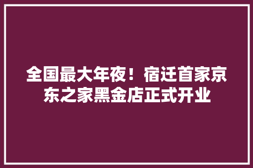全国最大年夜！宿迁首家京东之家黑金店正式开业