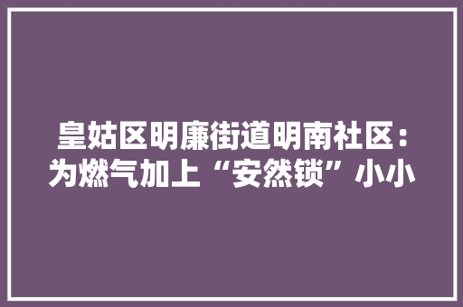 皇姑区明廉街道明南社区：为燃气加上“安然锁”小小报警器连着“大年夜平易近生”,燃气报警器。
