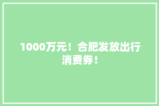 1000万元！合肥发放出行消费券！