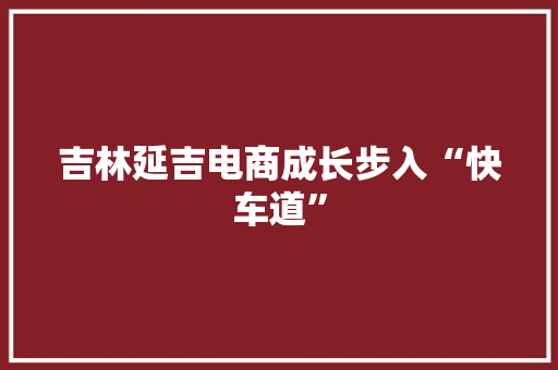 吉林延吉电商成长步入“快车道”