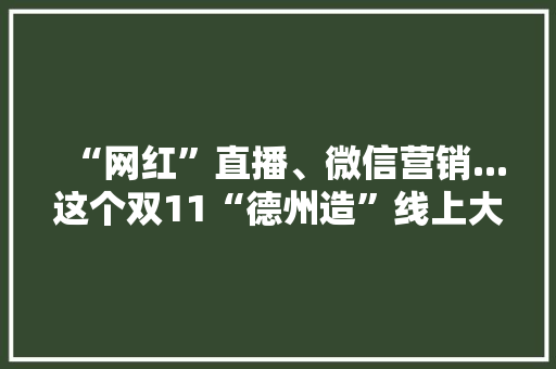 “网红”直播、微信营销...这个双11“德州造”线上大年夜卖