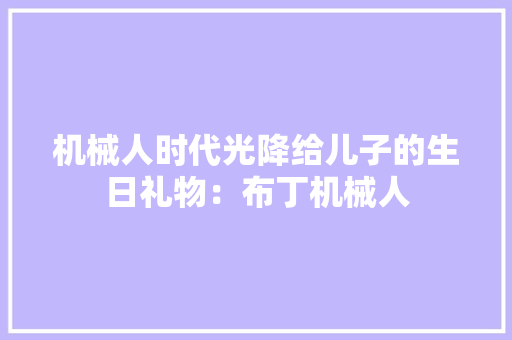 机械人时代光降给儿子的生日礼物：布丁机械人