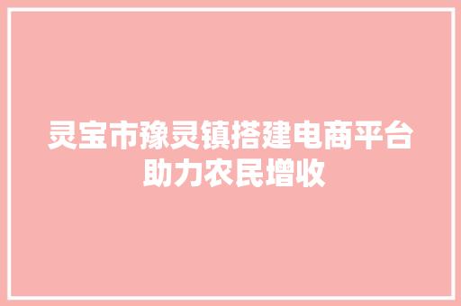 灵宝市豫灵镇搭建电商平台 助力农民增收