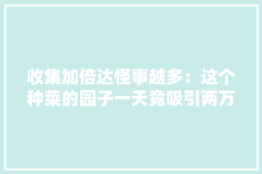 收集加倍达怪事越多：这个种菜的园子一天竟吸引两万人打卡