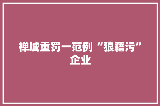 禅城重罚一范例“狼藉污”企业