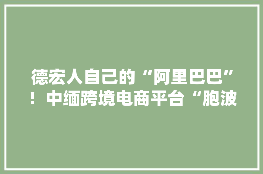 德宏人自己的“阿里巴巴”！中缅跨境电商平台“胞波商城”投入运用