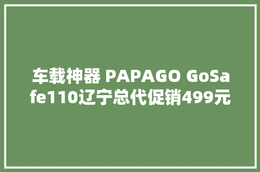 车载神器 PAPAGO GoSafe110辽宁总代促销499元