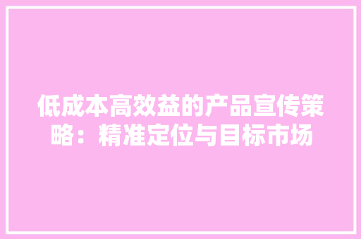 低成本高效益的产品宣传策略：精准定位与目标市场