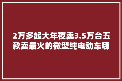 2万多起大年夜卖3.5万台五款卖最火的微型纯电动车哪款值得买？