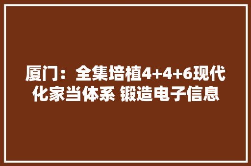 厦门：全集培植4+4+6现代化家当体系 锻造电子信息家当“新蓝海”