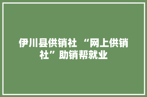 伊川县供销社 “网上供销社”助销帮就业