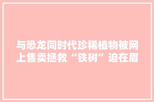 与恐龙同时代珍稀植物被网上售卖拯救“铁树”迫在眉睫