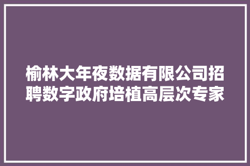 榆林大年夜数据有限公司招聘数字政府培植高层次专家人才