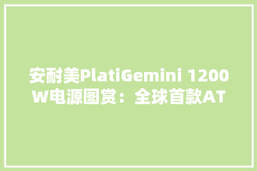 安耐美PlatiGemini 1200W电源图赏：全球首款ATX 3.1＆12VO双模电源