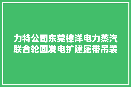 力特公司东莞樟洋电力蒸汽联合轮回发电扩建履带吊装卸做事招标