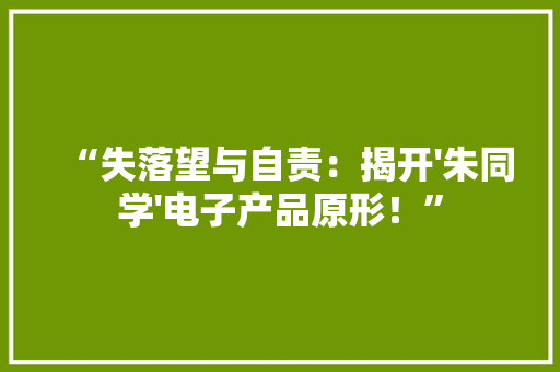 “失落望与自责：揭开'朱同学'电子产品原形！”
