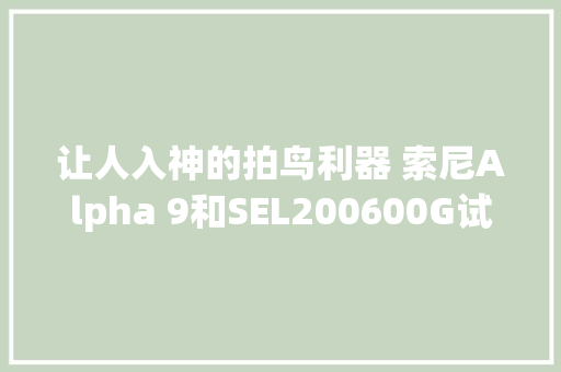 让人入神的拍鸟利器 索尼Alpha 9和SEL200600G试用体验