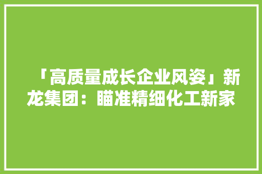 「高质量成长企业风姿」新龙集团：瞄准精细化工新家当 打造高质量成长新引擎