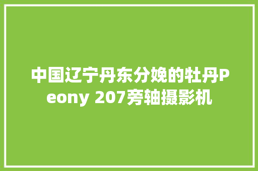 中国辽宁丹东分娩的牡丹Peony 207旁轴摄影机