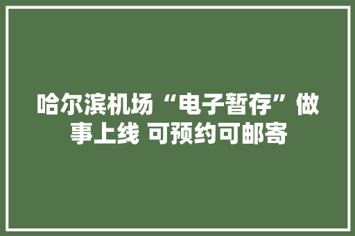 哈尔滨机场“电子暂存”做事上线 可预约可邮寄